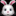 🐰