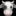 🐮